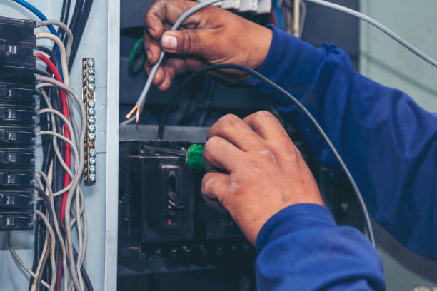 Best Home Electrical Repair  in Richmond, MN